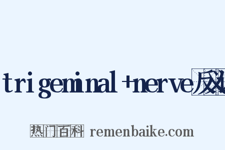 trigeminal+nerve反义词是什么意思的图片